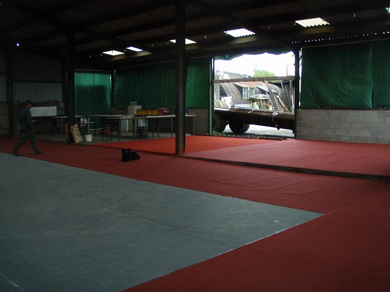 Carpet looking good..jpg